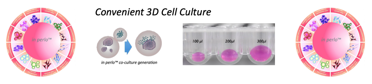 3D cell culture sample-2